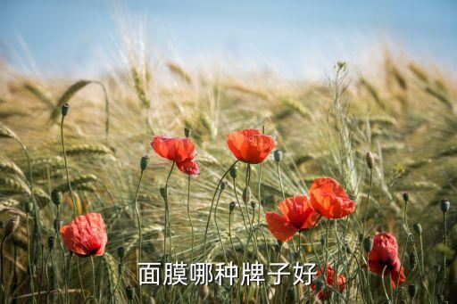 面膜哪种牌子好