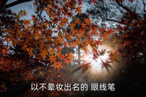 以不晕妆出名的 眼线笔