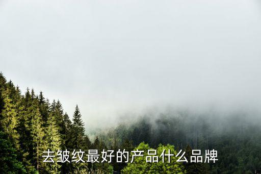 去皱纹最好的产品什么品牌