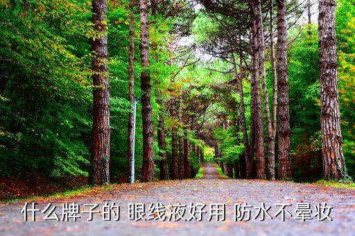 眼线笔防水好的哪个,防水眼线笔怎么洗掉