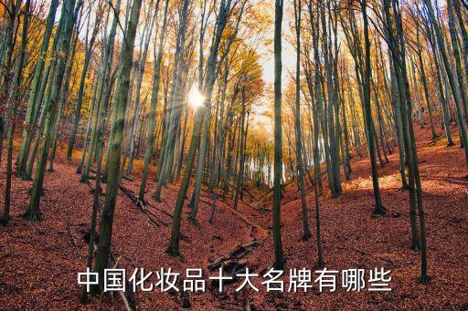 所有护肤品品牌有哪些,欧莱雅旗下的护肤品有哪些品牌