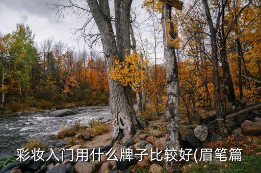 彩妆入门用什么牌子比较好(眉笔篇