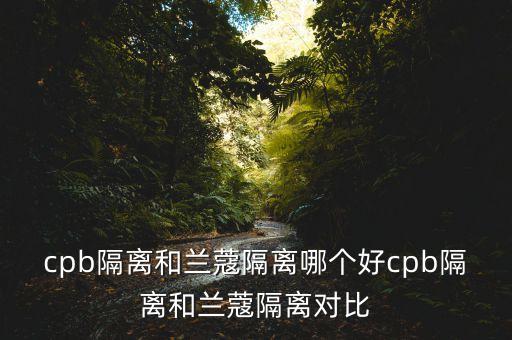 cpb隔离和兰蔻隔离哪个好cpb隔离和兰蔻隔离对比