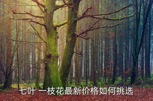 一枝花怎么样,南京一枝花现在怎么样了