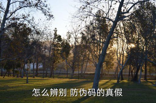 哪个是化妆品的防伪码,化妆品防伪码查询可以造假吗?