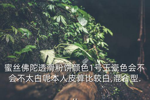 蜜丝佛陀透滑粉饼颜色1号玉瓷色会不会不太白呢本人皮算比较白,混合型...