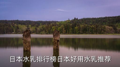资生堂悦薇日本多少钱,资生堂悦薇和怡丽丝尔哪个比较知名?