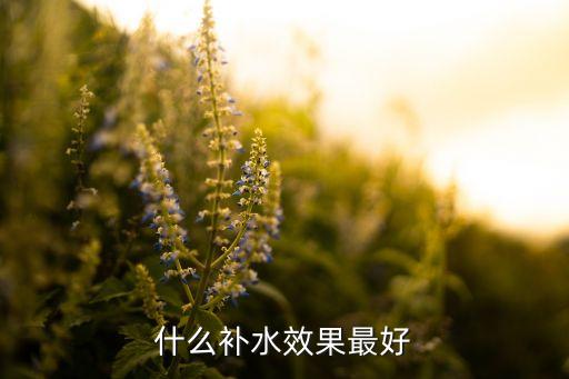 什么补水效果最好