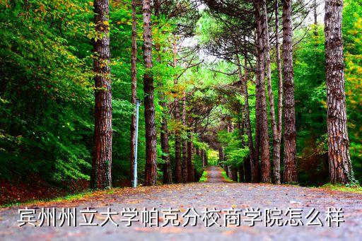 宾州州立大学帕克分校商学院怎么样