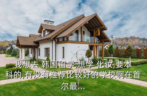 我想去 韩国留学,想学 化妆,要本科的,有没有推荐比较好的学校啊在首尔最...