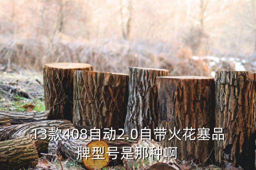 13款408自动2.0自带火花塞品牌型号是那种啊
