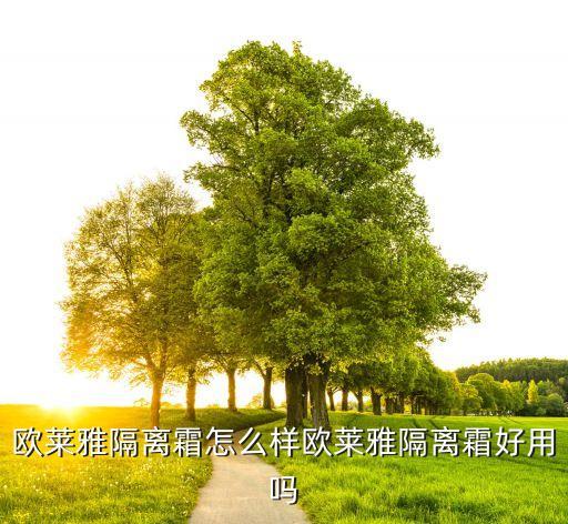欧莱雅的bb怎么样,巴黎欧莱雅化妆品怎么样？