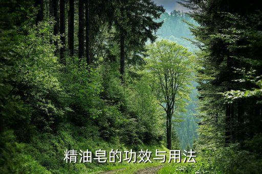 薇润精油皂怎么样,罗兰精油皂怎么样？