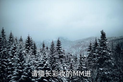 爱丽花妍映彩腮红怎么样