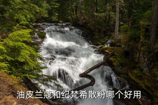油皮兰蔻和纪梵希散粉哪个好用