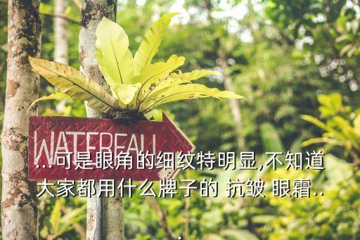 ...可是眼角的细纹特明显,不知道大家都用什么牌子的 抗皱 眼霜...