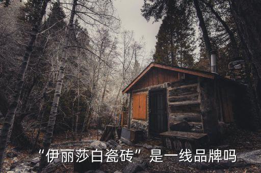 “伊丽莎白瓷砖”是一线品牌吗