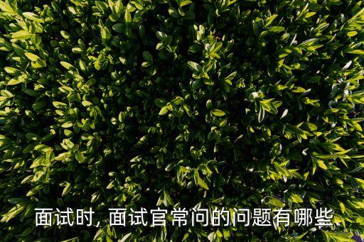 希思黎面试时会问什么