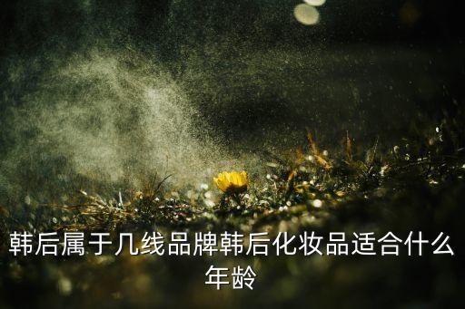 韩后属于几线品牌韩后化妆品适合什么年龄