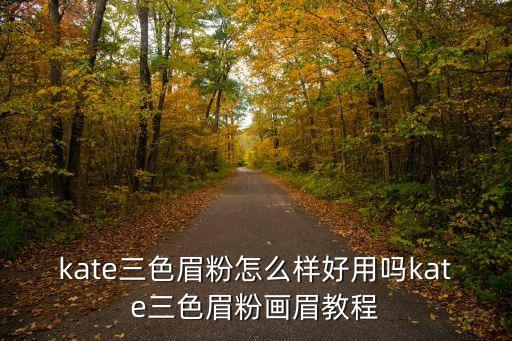 kate三色眉粉怎么样好用吗kate三色眉粉画眉教程