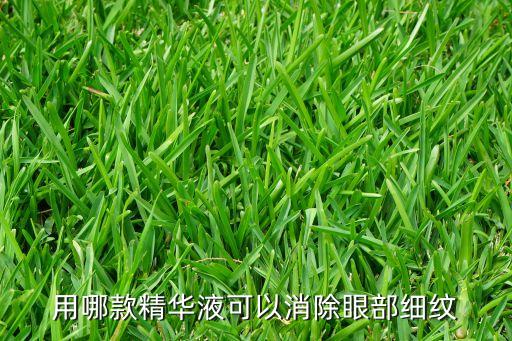 用哪款精华液可以消除眼部细纹