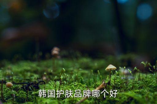 韩国护肤品牌哪个好