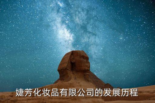 婕芳化妆品有限公司的发展历程