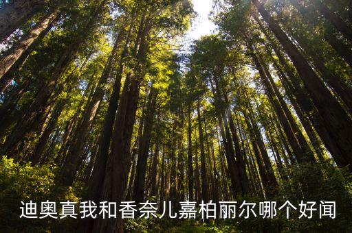 迪奥的香味怎么样,迪奥999怎么样