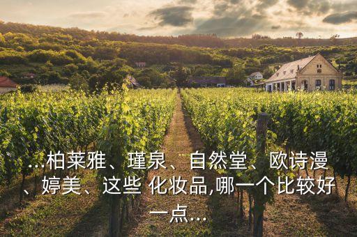 圣斯莱雅化妆品怎么样,伯莱雅化妆品的效果怎么样