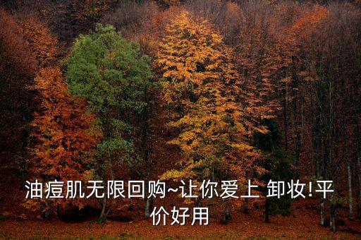 油痘肌无限回购~让你爱上 卸妆!平价好用