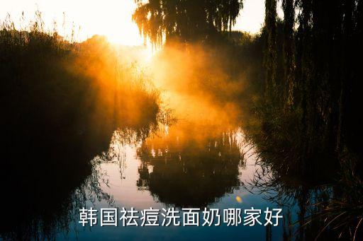 韩国祛痘洗面奶哪家好