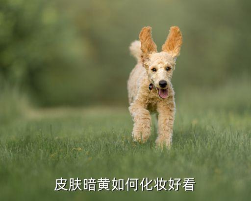 皮肤暗黄如何化妆好看