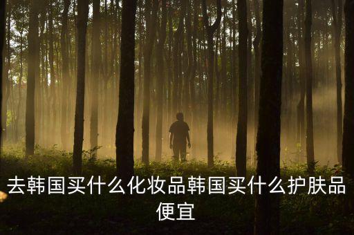 去韩国买什么化妆品韩国买什么护肤品便宜