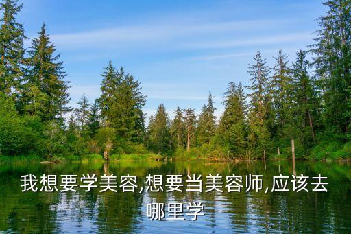 我想要学美容,想要当美容师,应该去哪里学