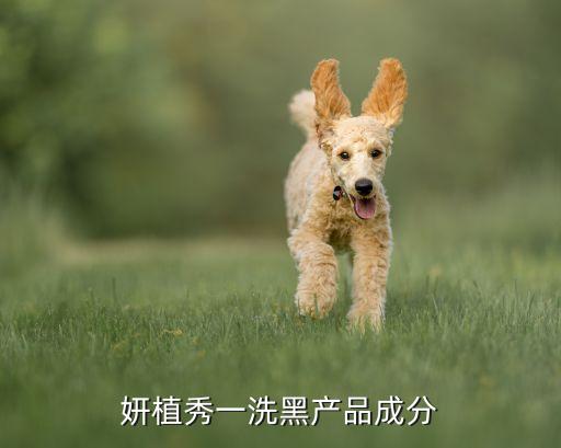 妍植秀一洗黑产品成分