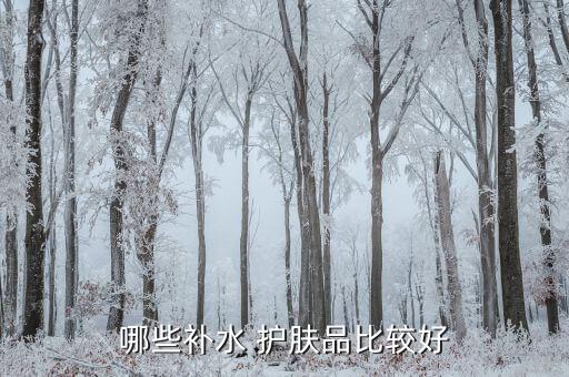 哪些补水 护肤品比较好