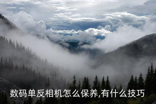 数码单反相机怎么保养,有什么技巧