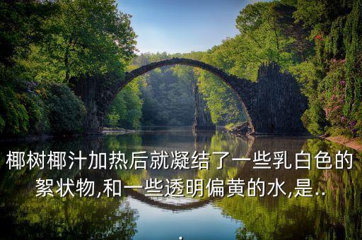椰树椰汁加热后就凝结了一些乳白色的絮状物,和一些透明偏黄的水,是...