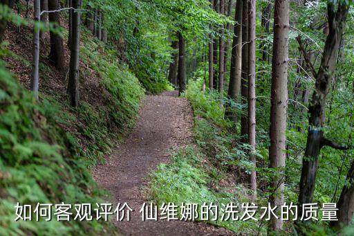 仙维娜怎么样