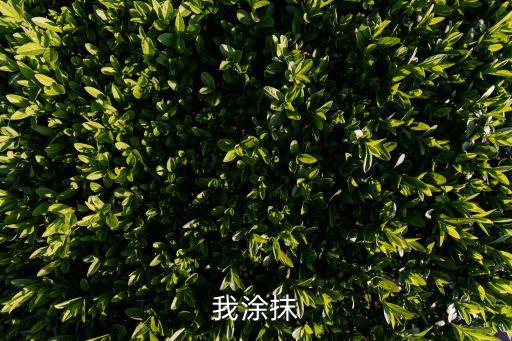 滋养膏是什么,男滋养膏是什么功效