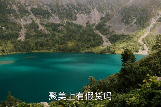 聚美上有假货吗