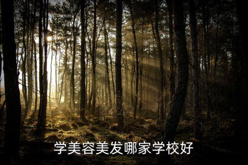 学美容美发哪家学校好
