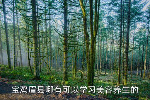 去哪里学习美容养生,学美容去哪学好?