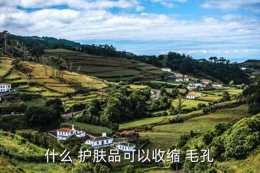 什么 护肤品可以收缩 毛孔