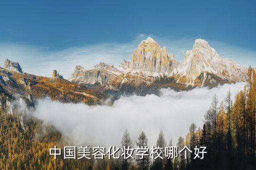 中国美容化妆学校哪个好