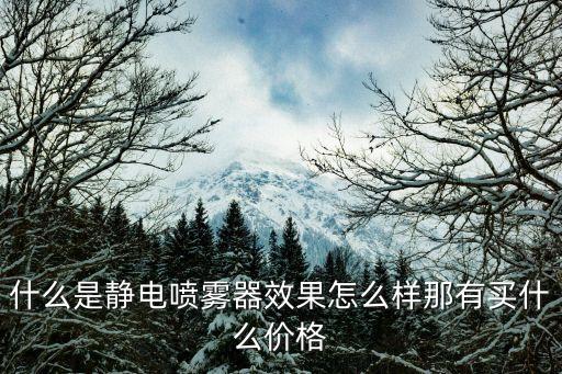 什么是静电喷雾器效果怎么样那有买什么价格