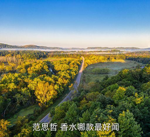 范思哲女士粉色香水怎么样