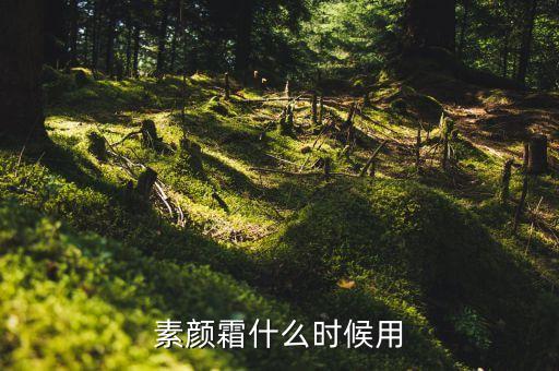 素颜霜什么时候用