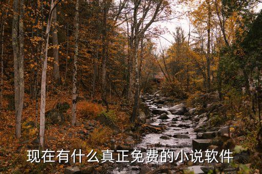 现在有什么真正免费的小说软件