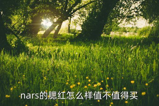 nars的腮红怎么样值不值得买